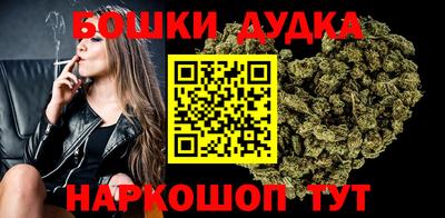 гашик Будённовск