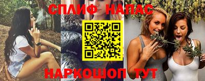 гашик Будённовск