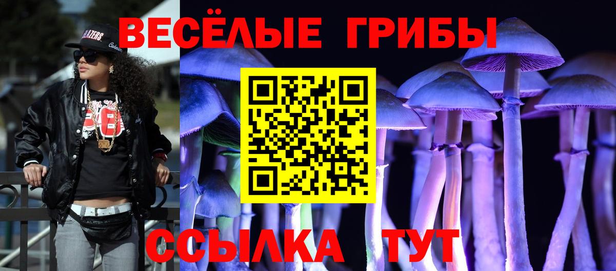 Псилоцибиновые грибы прущие грибы  Вход с VPN  Ртищево 